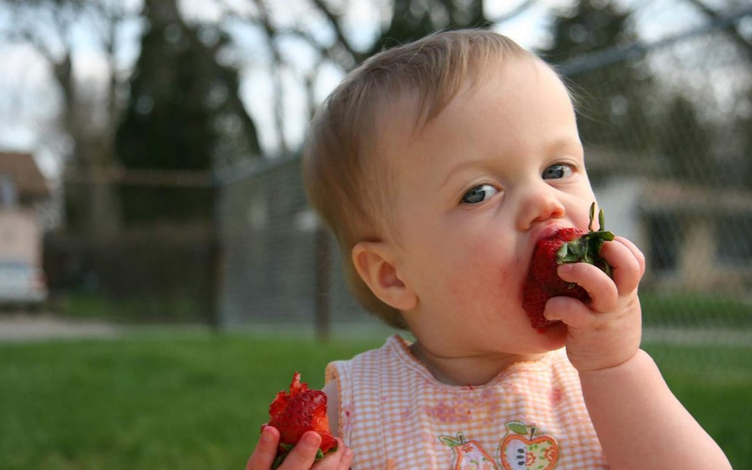 Babyfood: introducing solids.